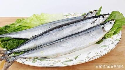 20厘米金龍魚（20厘米長的金龍魚的飼養(yǎng)方法）