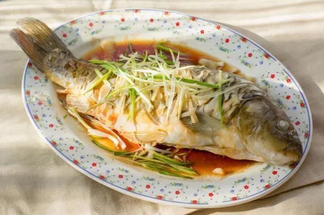 三元龍魚為何要少吃