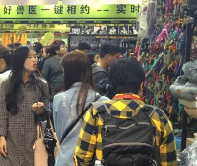 廣州最大的水族批發商：廣州一些較大的水族批發商