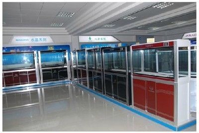 廣州最大的水族批發商：廣州一些較大的水族批發商