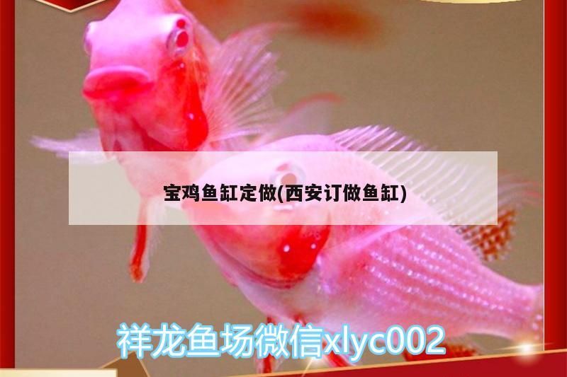 寶雞魚缸定做(西安訂做魚缸)