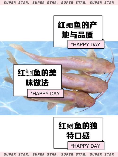 紅口魚圖片