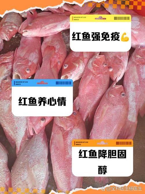 紅口魚圖片