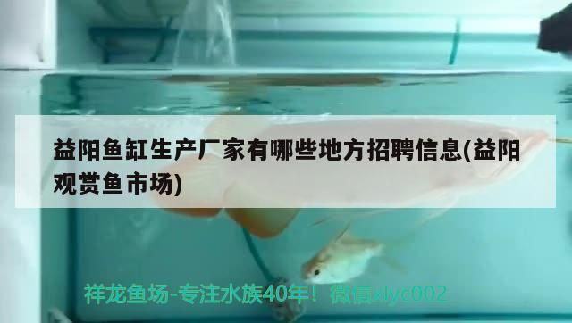 益陽魚缸生產(chǎn)廠家有哪些地方招聘信息(益陽觀賞魚市場)