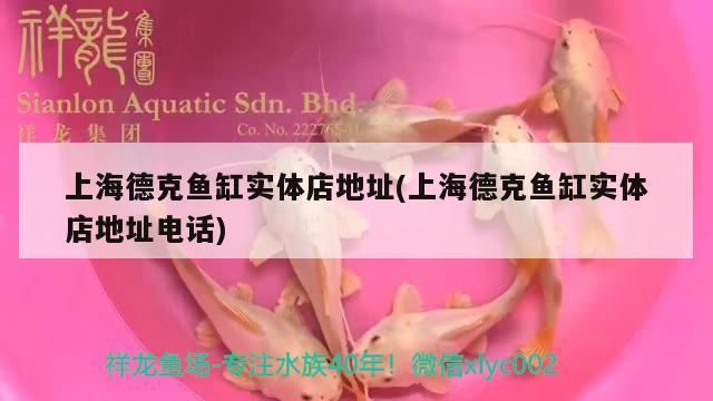 上海德克魚缸實體店地址(上海德克魚缸實體店地址電話) 上海德克魚缸實體店地址(上海德克魚缸實體店地址電話) 觀賞魚百科