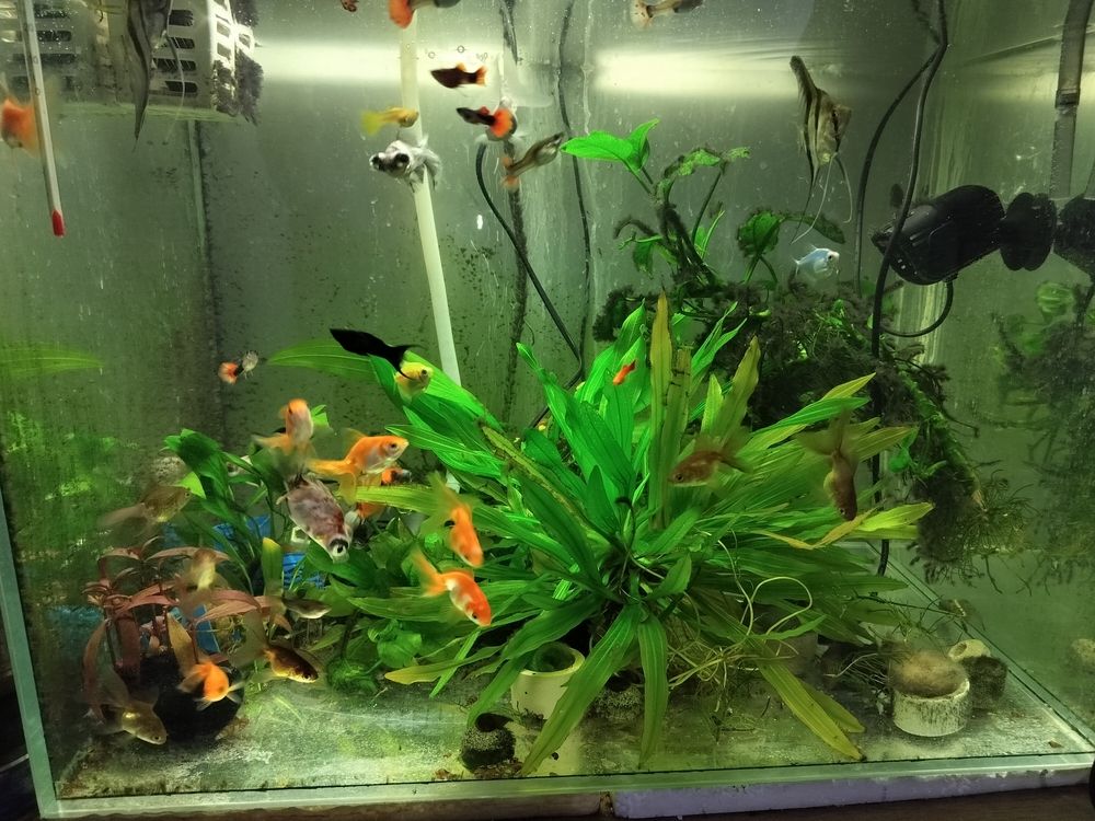 換了水就是不一樣