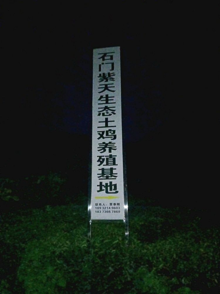 石門金龍魚