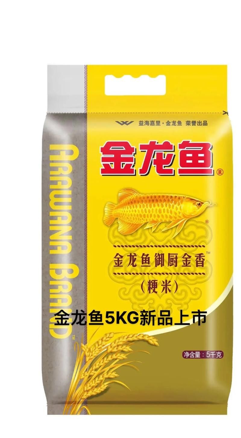阜康金龍魚