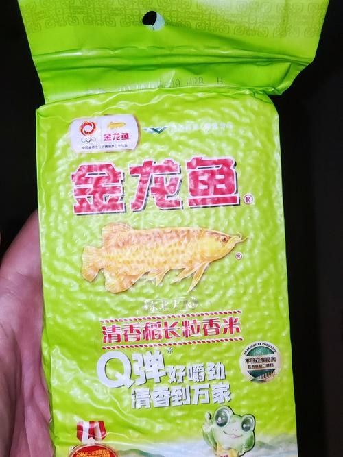 阜康金龍魚