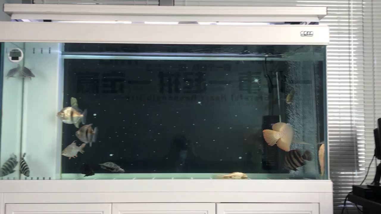 127天新換的黑背景