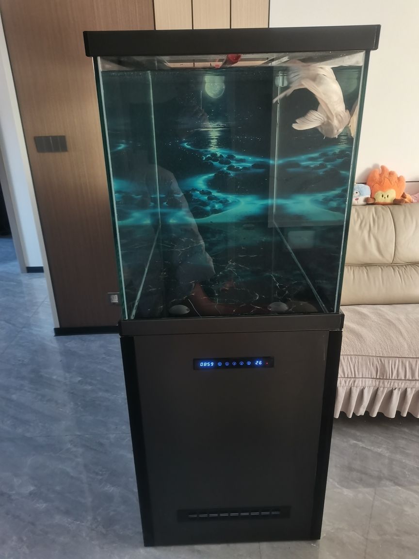 自己動手做的魚缸