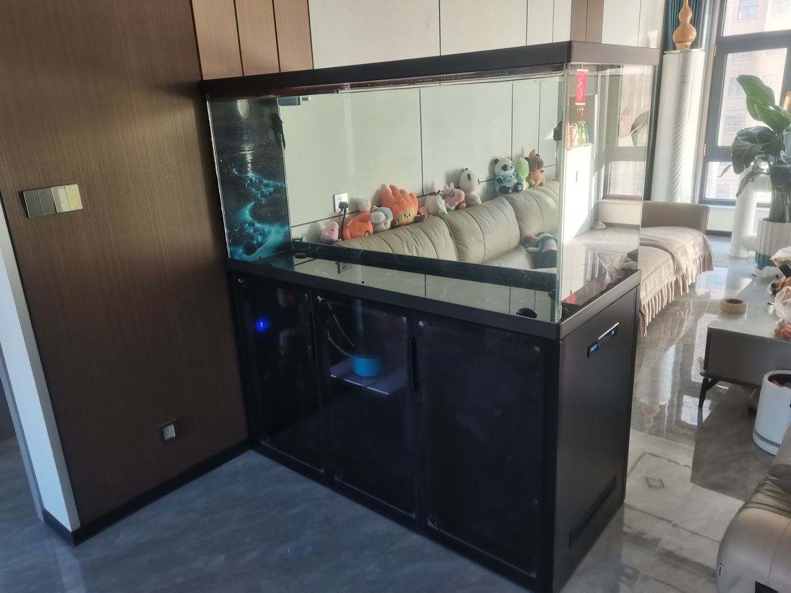 自己動手做的魚缸