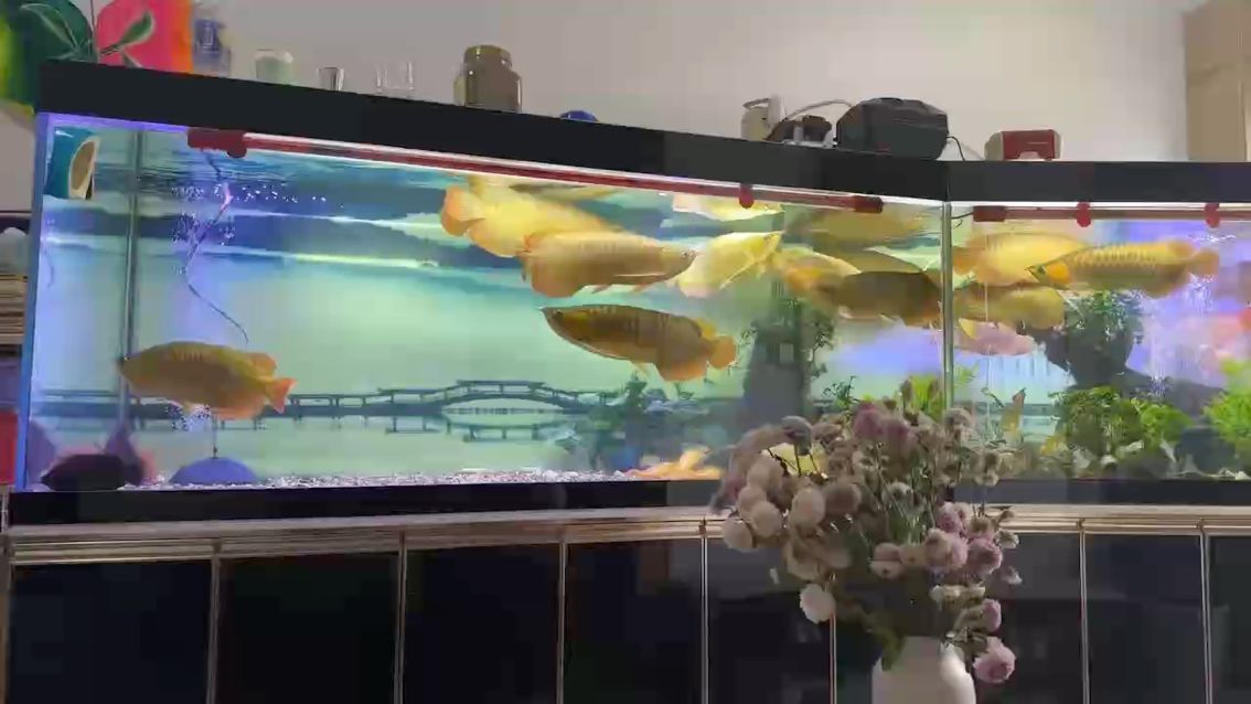 圣誕后的一個視頻