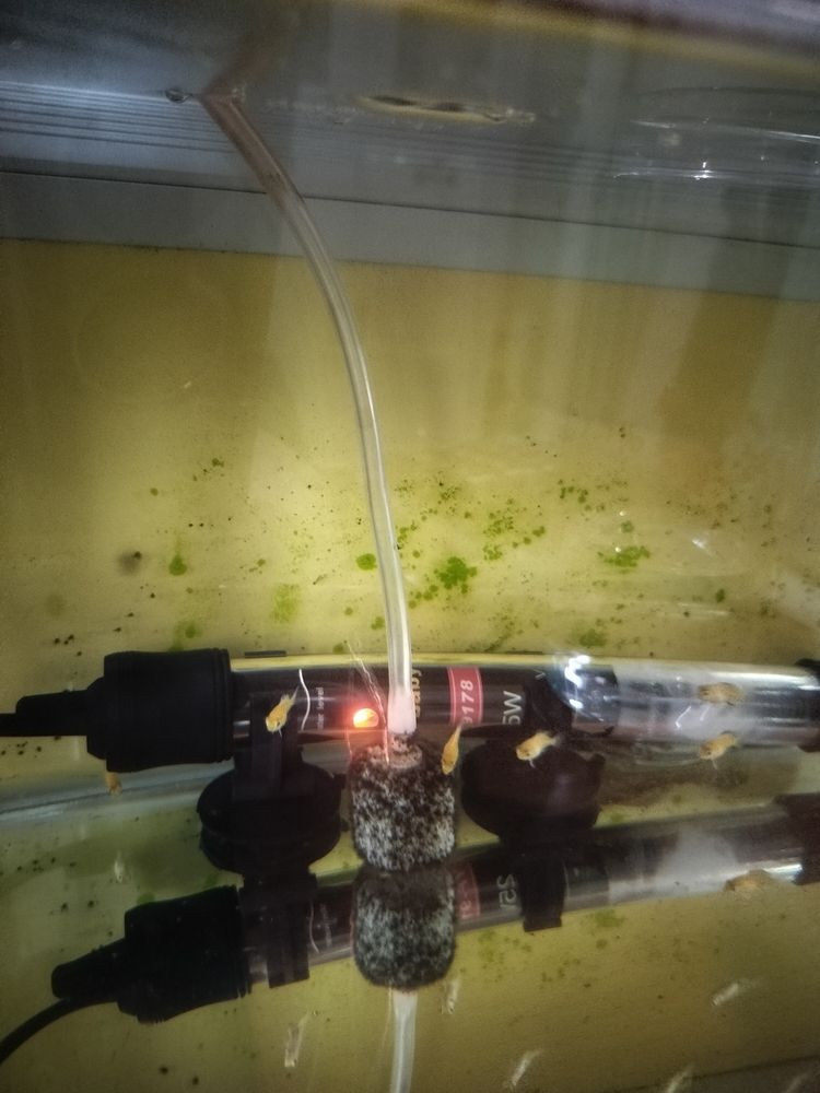 魚缸用增氧泵價(jià)格是多少:魚缸增氧機(jī)-xtrac增氧機(jī)-xtrac增氧機(jī) 真好看 龍魚論壇 真好看 真好看 龍魚論壇