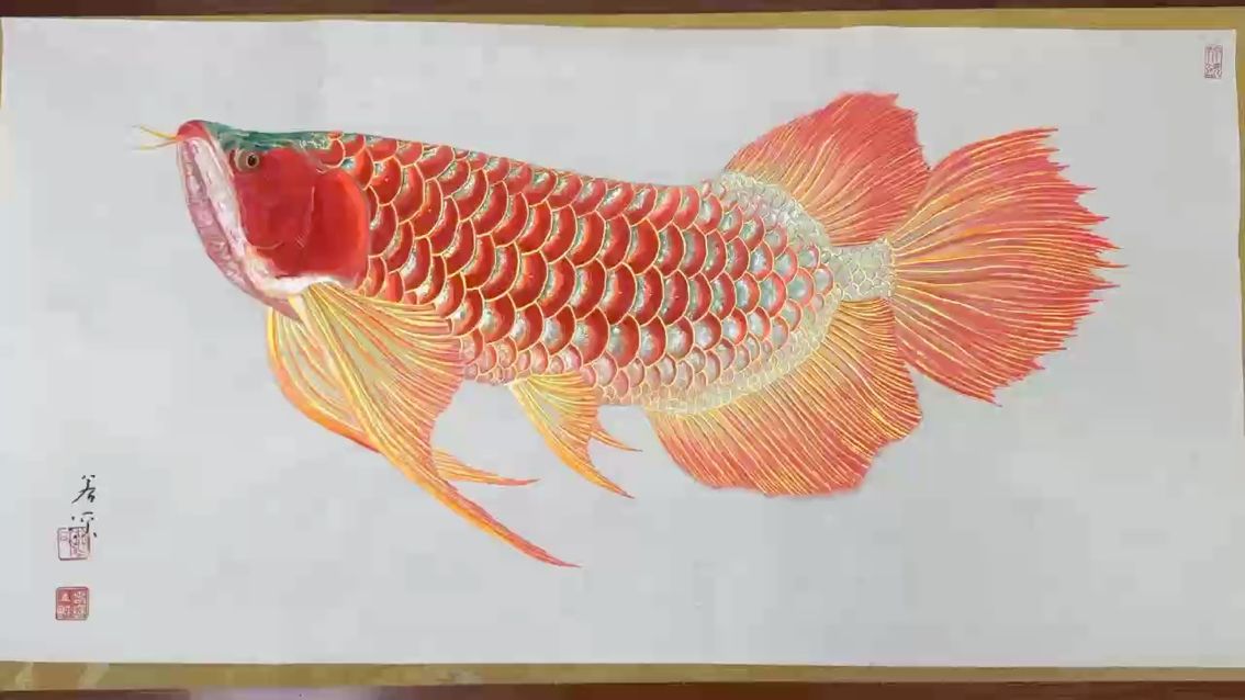 若溪龍魚畫 若溪龍魚畫 龍魚論壇