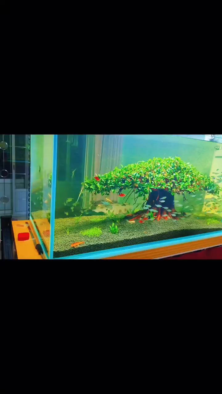 喂食馴練第二天