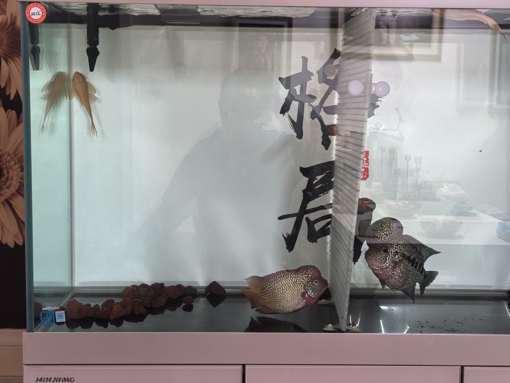 一年沒(méi)見(jiàn)露個(gè)頭！