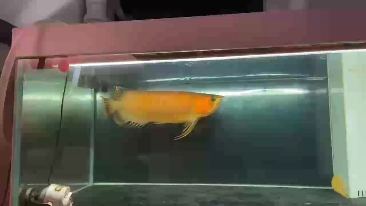 下擺彎曲，做個手術記錄一下