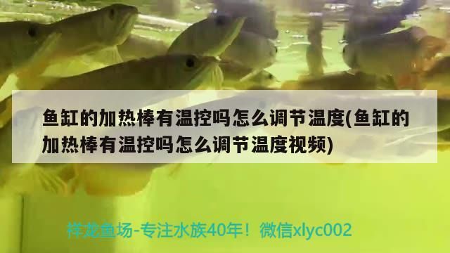 魚缸的加熱棒有溫控嗎怎么調節溫度(魚缸的加熱棒有溫控嗎怎么調節溫度視頻)