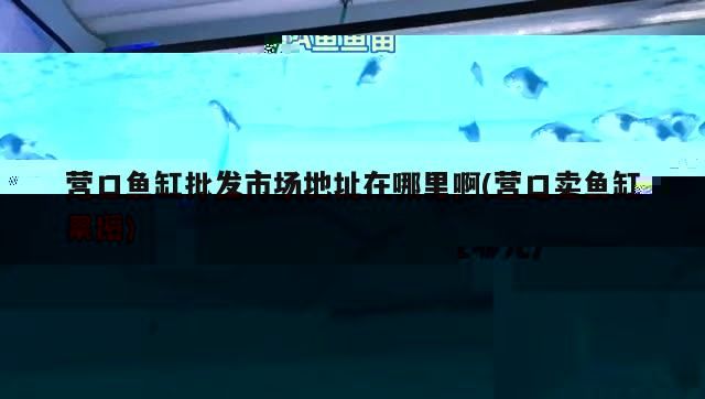 龍魚缸設計圖片欣賞視頻教程(大型龍魚缸效果圖)