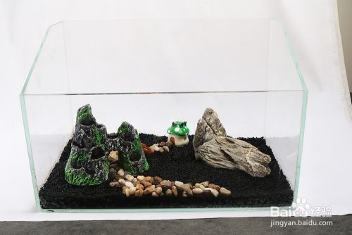 鰩魚有危險(xiǎn)嗎(魟魚會(huì)毒死其他魚嗎)