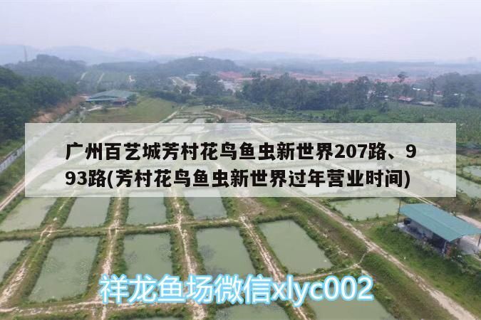 廣州百藝城芳村花鳥魚蟲新世界207路、993路(芳村花鳥魚蟲新世界過年營業(yè)時間)