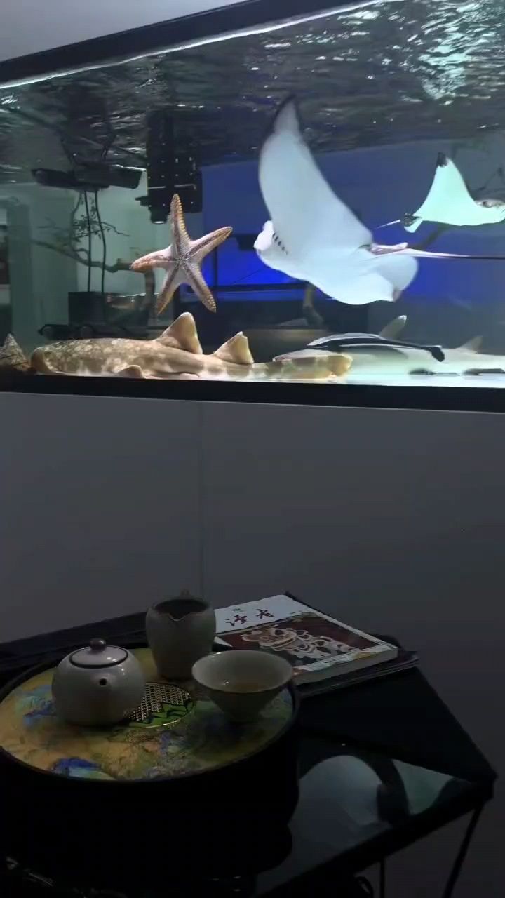 轉(zhuǎn)發(fā)，特別好 轉(zhuǎn)發(fā)，特別好 龍魚論壇