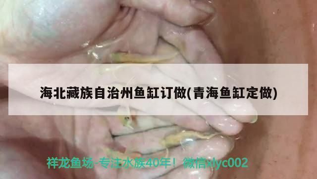 海北藏族自治州魚缸訂做(青海魚缸定做)