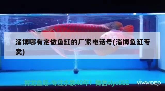 淄博哪有定做魚缸的廠家電話號(淄博魚缸專賣)