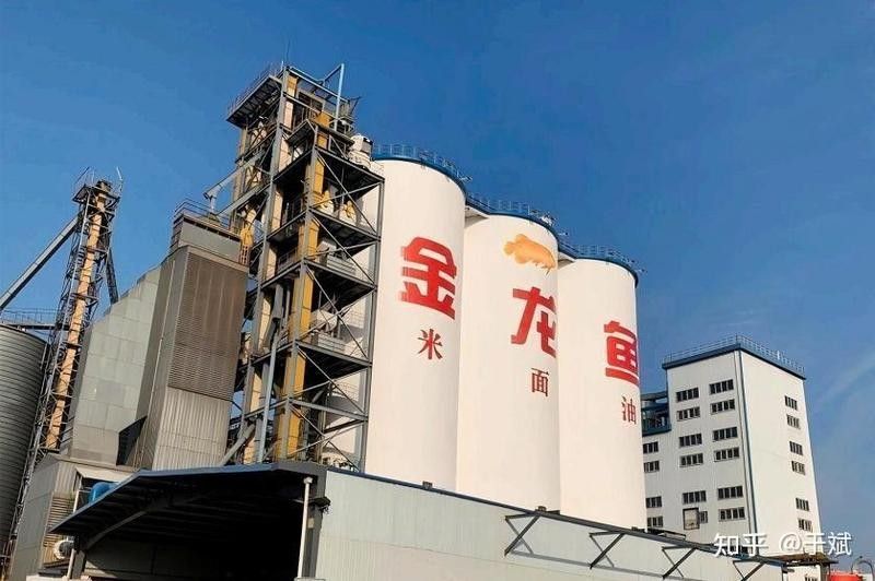 南陵金龍魚是雜牌子嗎 南陵金龍魚是雜牌子嗎 觀賞魚百科 第1張