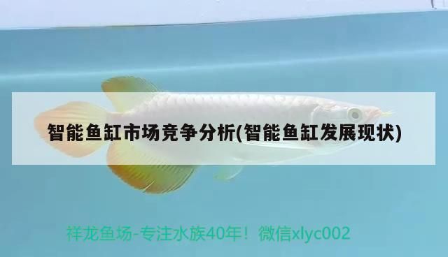 智能魚缸市場競爭分析(智能魚缸發展現狀) 智能魚缸市場競爭分析(智能魚缸發展現狀) 觀賞魚百科