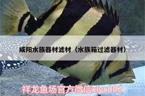 咸陽<strong><mark>水族器材</mark></strong>濾材（水族箱過濾器材）