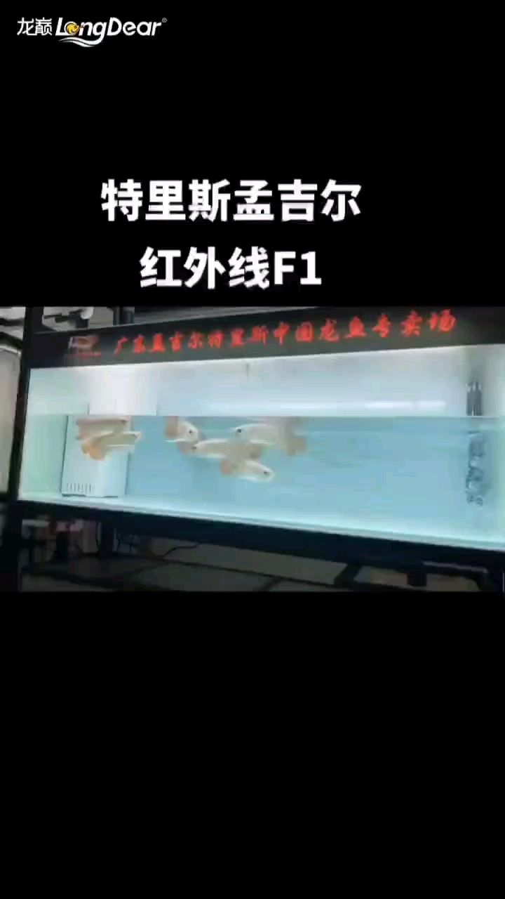 轉發954