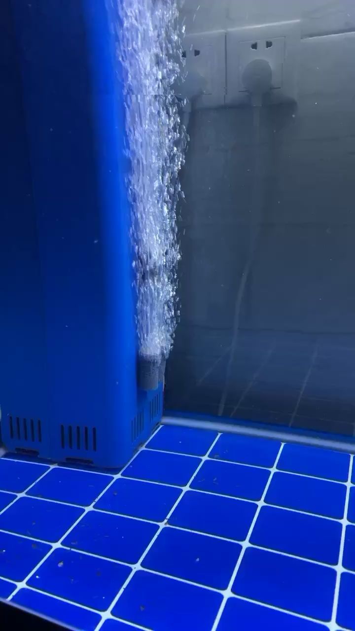 布魯布魯
