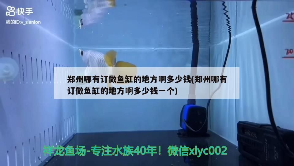 鄭州哪有訂做魚缸的地方啊多少錢(鄭州哪有訂做魚缸的地方啊多少錢一個) 鄭州哪有訂做魚缸的地方啊多少錢(鄭州哪有訂做魚缸的地方啊多少錢一個) 觀賞魚百科
