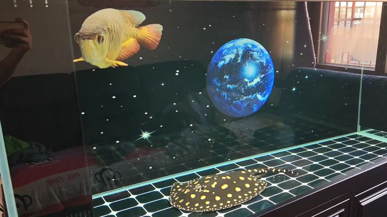 新的一年就要來了，祝魚友們魚兒健康，大發(fā)財源