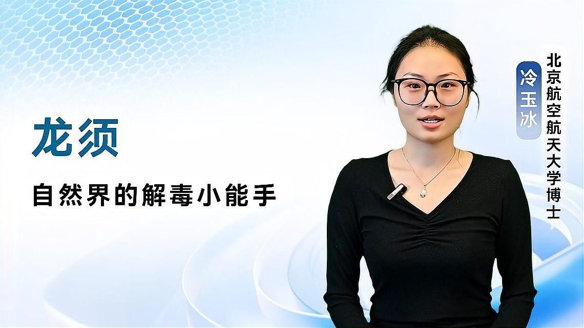龍須胡須的用途與功效 龍須胡須的用途與功效 觀賞魚百科 第1張
