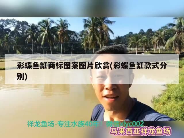 彩蝶魚缸商標圖案圖片欣賞(彩蝶魚缸款式分別)