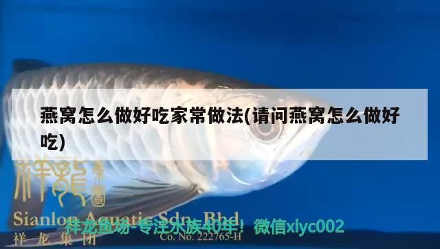 龍協杯您同行