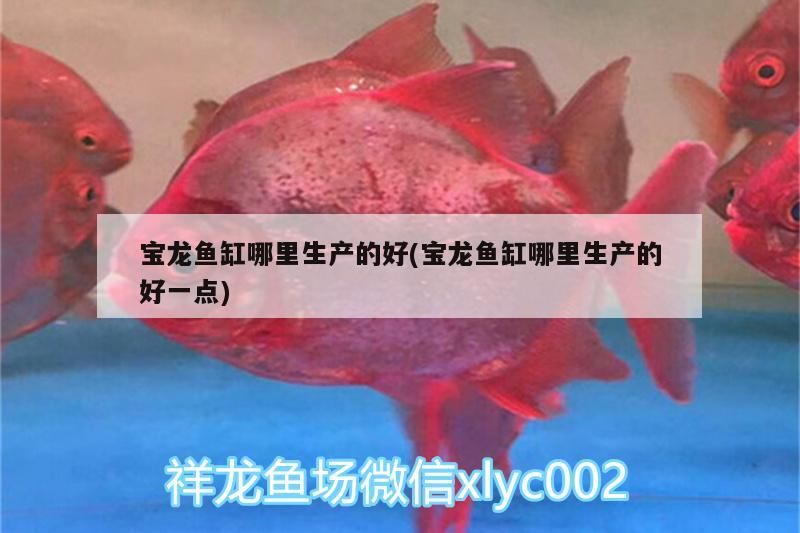 沈陽觀賞魚市場外灘觀賞魚市場地址介紹（沈陽觀賞魚市場），四平觀賞魚攻略