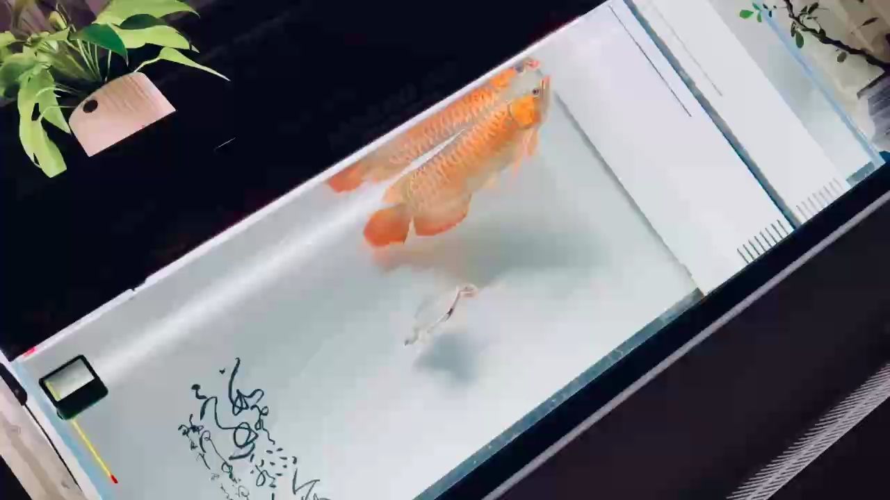 陰雨最慵懶