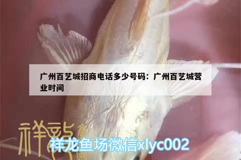 廣州百藝城招商電話多少號碼:廣州百藝城營業時間 廣州百藝城招商電話多少號碼:廣州百藝城營業時間 觀賞魚百科