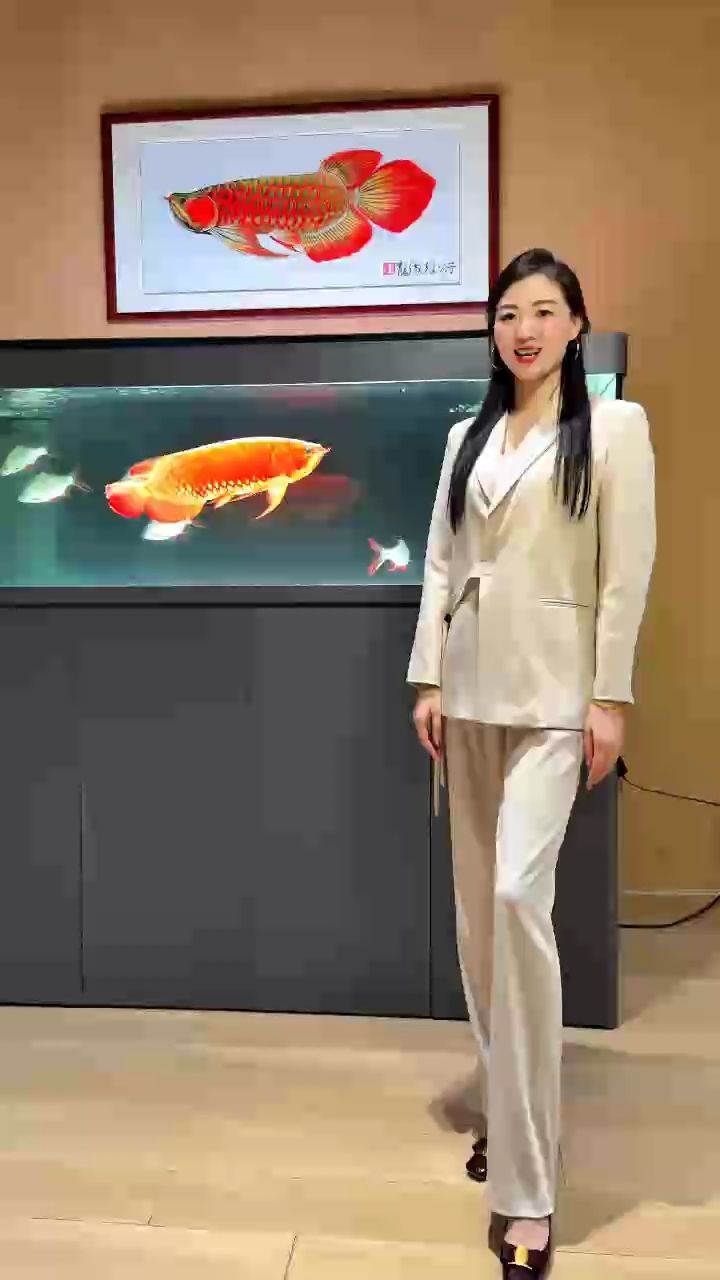 一億人都喜歡的紅龍魚??
#萬隆天王紅龍 #紅龍 #龍魚 #觀賞魚 #養魚日記