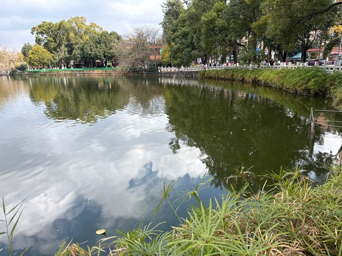 今天的翠湖