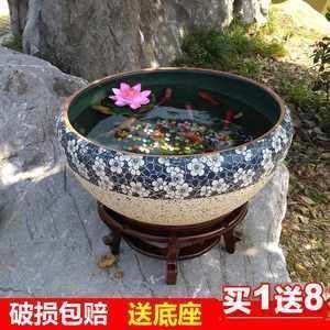 龍魚適合的水溫（龍魚適合的水溫是多少）