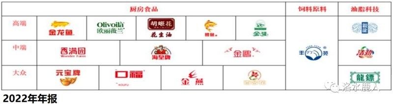 曾都金龍魚屬于什么檔次
