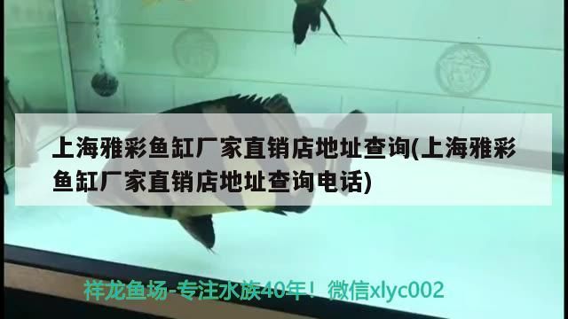 <strong><mark>上海</mark></strong>雅彩魚缸廠家直銷店地址查詢(<strong><mark>上海</mark></strong>雅彩魚缸廠家直銷店地址查詢電話)