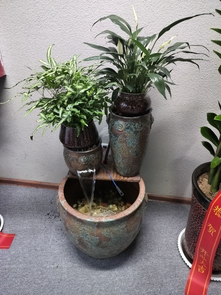 美麗的地缸