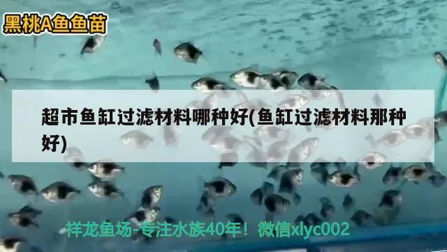 超市魚缸過濾材料哪種好(魚缸過濾材料那種好)