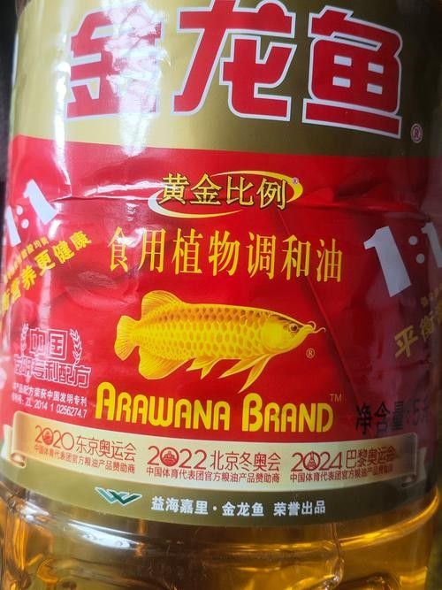 陳巴爾虎旗金龍魚 觀賞魚百科 第3張 陳巴爾虎旗金龍魚 陳巴爾虎旗金龍魚 觀賞魚百科 第3張